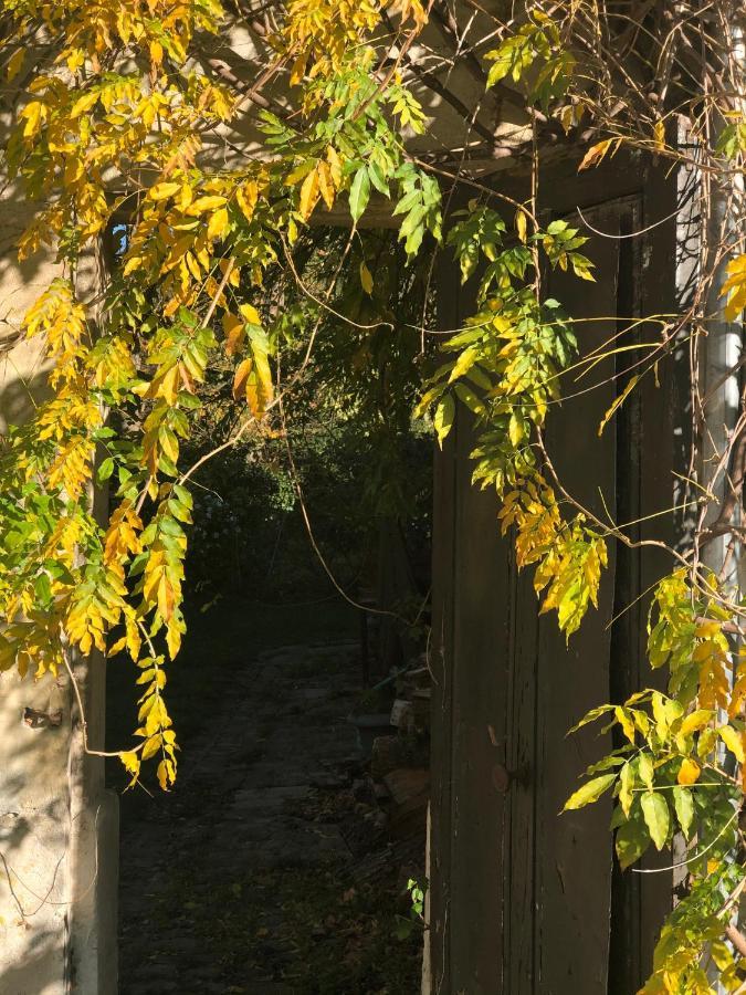 Dans Un Cadre Exceptionnel, Ferme Renovee A 17Km De Paris Villa Boissy-Saint-Leger Exterior photo